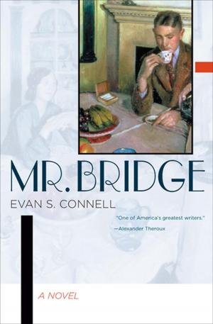 Cover of the book Mr. Bridge by Matt Stewart