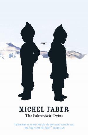 Book cover of The Fahrenheit Twins and Other Stories
