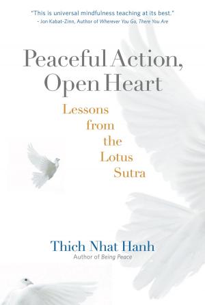 Book cover of Peaceful Action, Open Heart