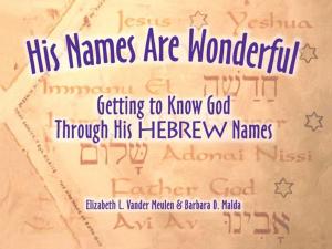 Cover of the book His Names Are Wonderful by Rabbi Russell Resnik