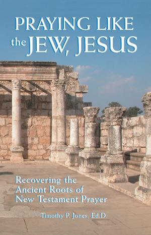 Cover of the book Praying Like the Jew, Jesus by Elizabeth L. Vander Meulen & Barbara D. Malda