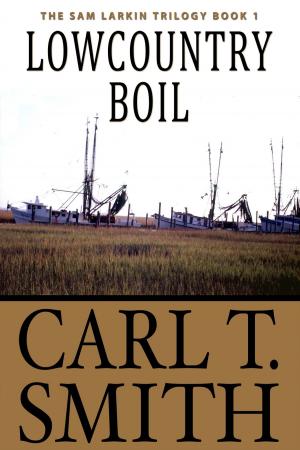 Book cover of Lowcountry Boil: The Sam Larkin Trilogy Book 1