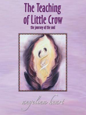 Cover of the book The Teaching of Little Crow by Jodi Lea Stewart