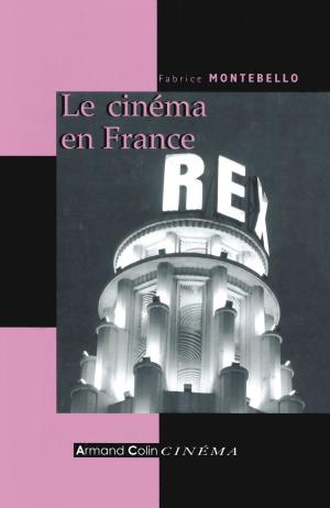 Cover of the book Le cinéma en France by Ariane Bilheran, Amandine Lafargue