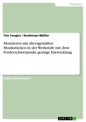 Cover of the book Musizieren mit altersgemäßen Musikstücken in der Werkstufe mit dem Förderschwerpunkt geistige Entwicklung by Christine Müller