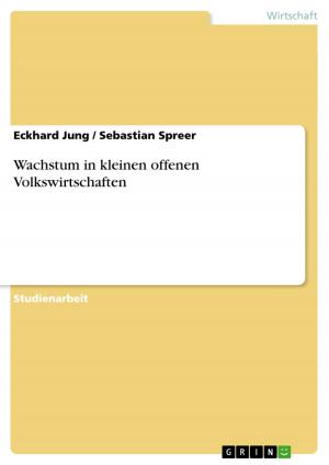 Cover of the book Wachstum in kleinen offenen Volkswirtschaften by Matthias Maack