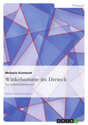Cover of the book Winkelsumme im Dreieck by Gesine Timmer