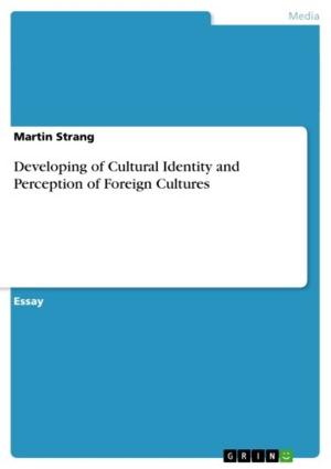 Cover of the book Developing of Cultural Identity and Perception of Foreign Cultures by Johannes Mürter