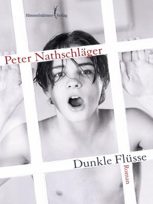 Cover of the book Dunkle Flüsse by J. Dankert
