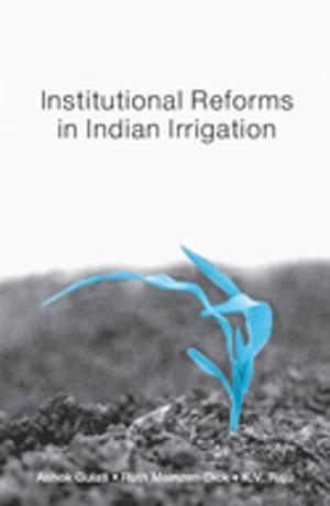 Cover of the book Institutional Reforms in Indian Irrigation by Dr. Robert Holman Coombs