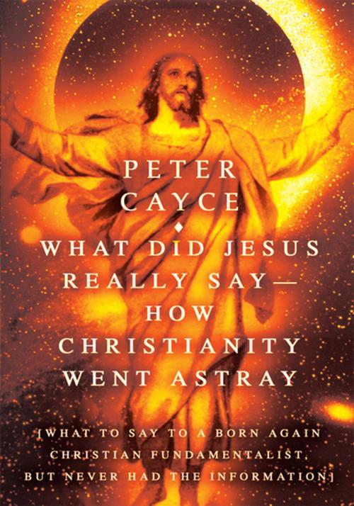 Cover of the book What Did Jesus Really Say-How Christianity Went Astray by Peter Cayce, iUniverse