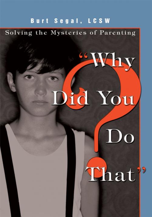 Cover of the book "Why Did You Do That?" by Burt Segal, iUniverse
