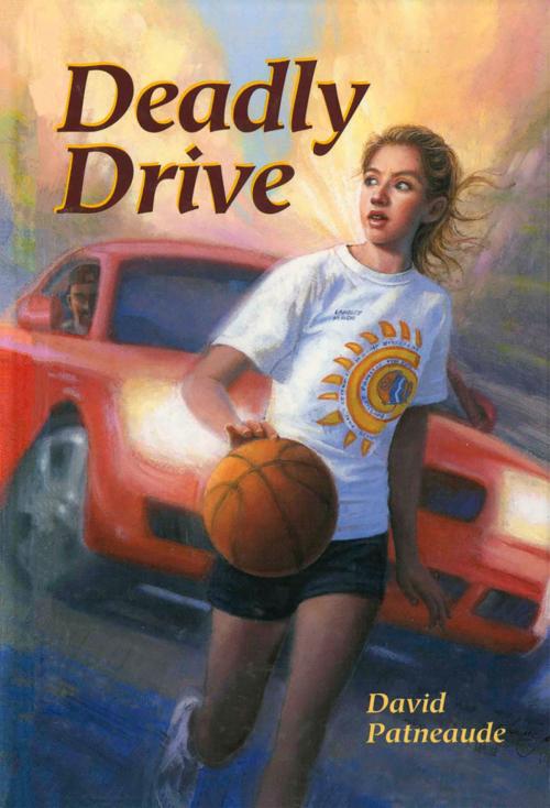 Cover of the book Deadly Drive by David Patneaude, Albert Whitman & Company