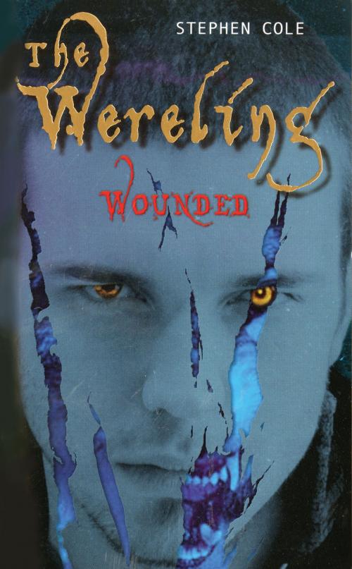 Cover of the book Wounded by Stephen Cole, Penguin Young Readers Group