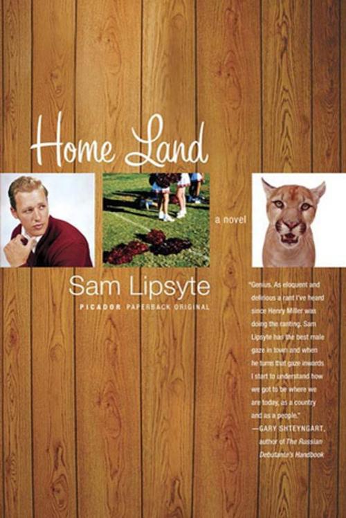 Cover of the book Home Land by Sam Lipsyte, Picador