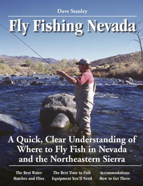Cover of the book Fly Fishing Nevada by Dave Stanley, No Nonsense Fly Fishing Guidebooks