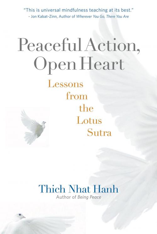 Cover of the book Peaceful Action, Open Heart by Thich Nhat Hanh, Parallax Press