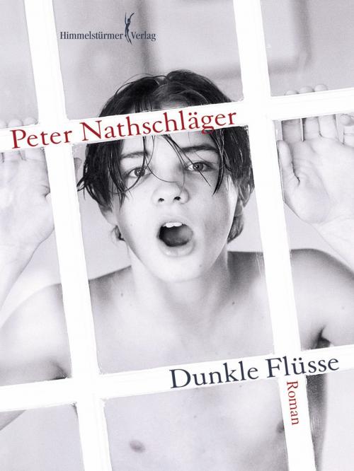 Cover of the book Dunkle Flüsse by Peter Nathschläger, Himmelstürmer Verlag