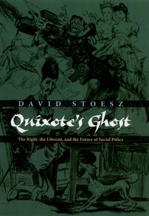 Cover of the book Quixote's Ghost by Susan Elizabeth Hough, Roger G. Bilham