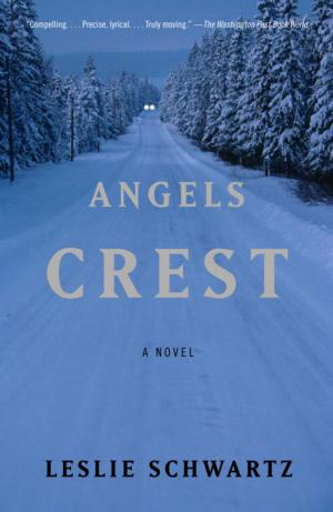 Book cover of Angels Crest
