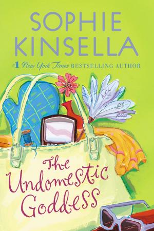 Cover of the book The Undomestic Goddess by DC Renee