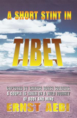 Cover of the book A Short Stint in Tibet by Joe Lurie