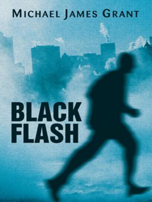 Cover of the book Black Flash by Jayne E. Kane