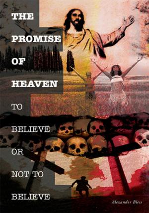 Cover of the book The Promise of Heaven by John R. Heapes