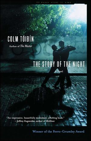 Cover of the book The Story of the Night by Sophie Fontanel