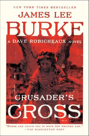 Cover of the book Crusader's Cross by Edward Humes