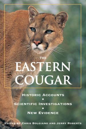 bigCover of the book Eastern Cougar by 