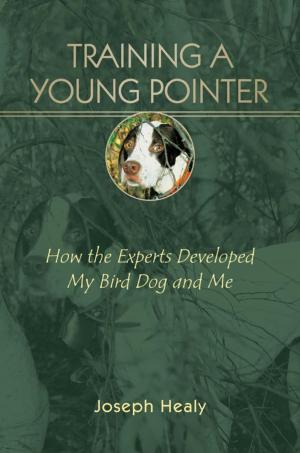 Book cover of Training a Young Pointer