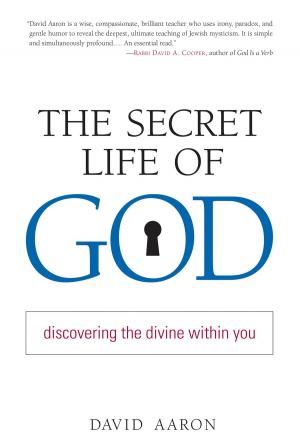 Cover of the book The Secret Life of God by Rabbi David Aaron