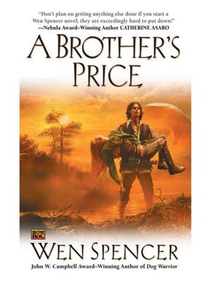 Cover of the book A Brother's Price by Beth Kery