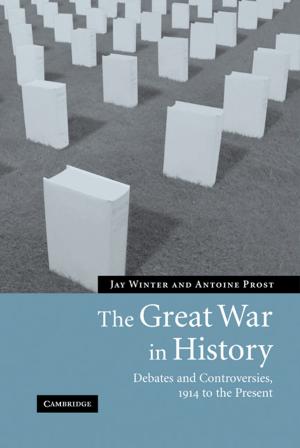 Cover of the book The Great War in History by Catherine Dauvergne