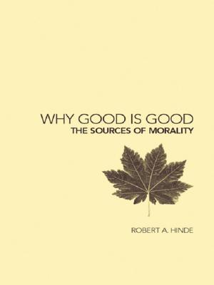 Cover of the book Why Good is Good by 