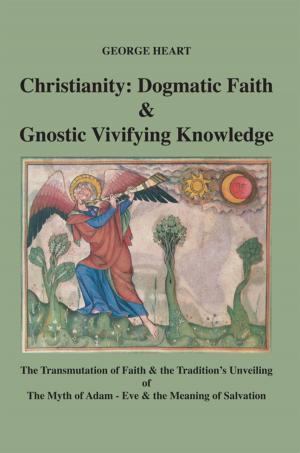 Cover of the book Christianity by Diane McGuinness Ph.D