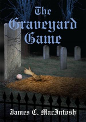 Book cover of The Graveyard Game