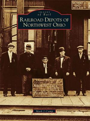 Cover of the book Railroad Depots of Northwest Ohio by Debra Haskett May