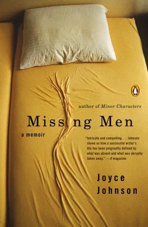 Book cover of Missing Men