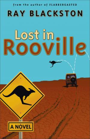 Cover of the book Lost in Rooville (Flabbergasted Trilogy Book #3) by Tom Sine