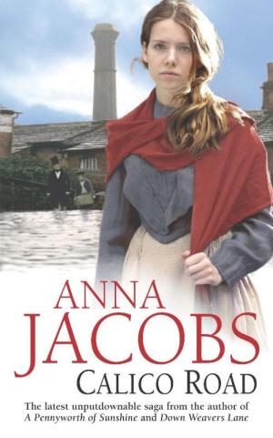 Cover of the book Calico Road by Maria Lang