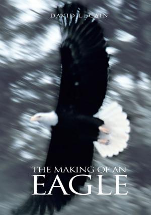 Cover of the book The Making of an Eagle by Meshia Sampson