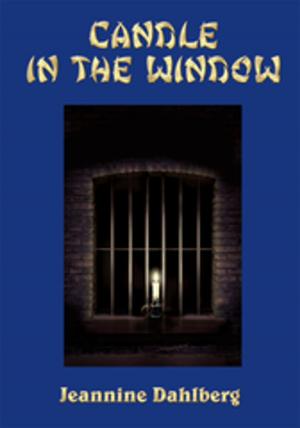 Cover of the book Candle in the Window by Barbara Warbinton