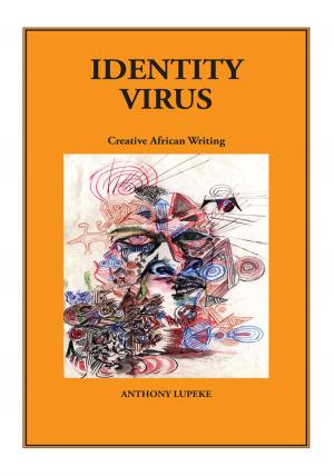 Book cover of Identity Virus