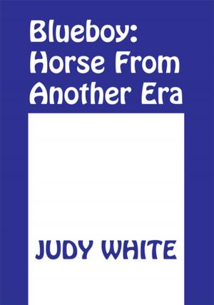 Book cover of Blueboy: Horse from Another Era