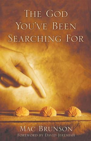 Cover of the book The God You've Been Searching For by Dannah Gresh