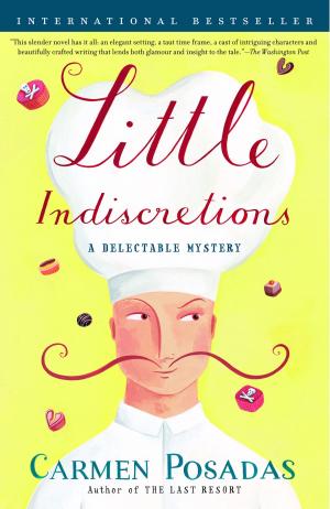 Cover of the book Little Indiscretions by Catherynne Valente