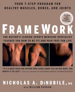 Book cover of FrameWork