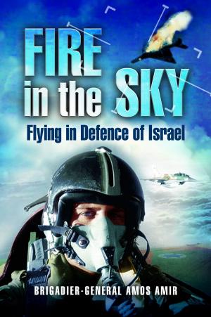 Cover of the book Fire in the Sky by James Wilson